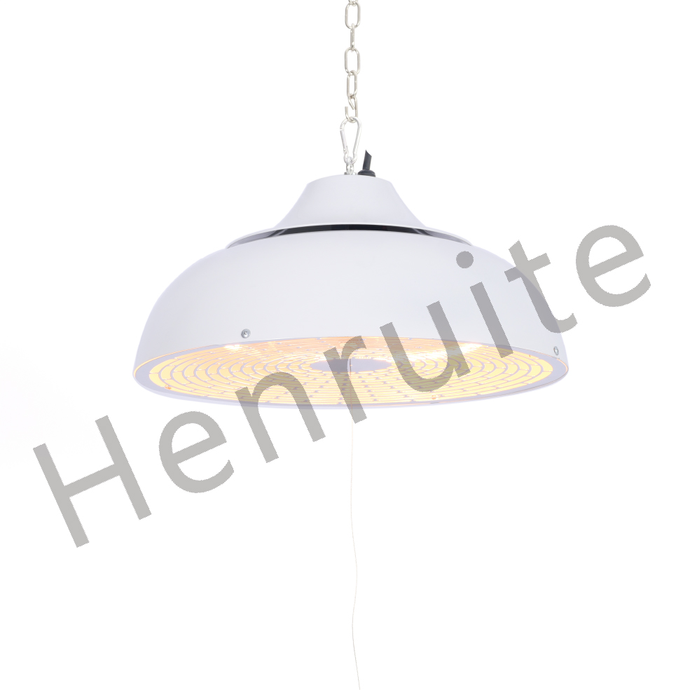 Wall mounted electric heater